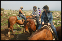 Israel Horse riding